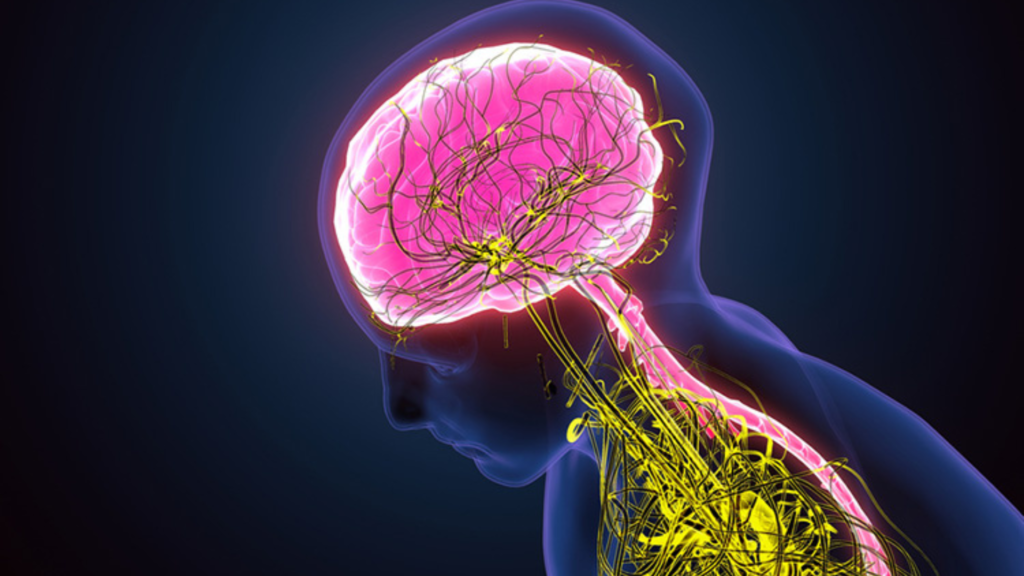 Congenital Neurological Disorders