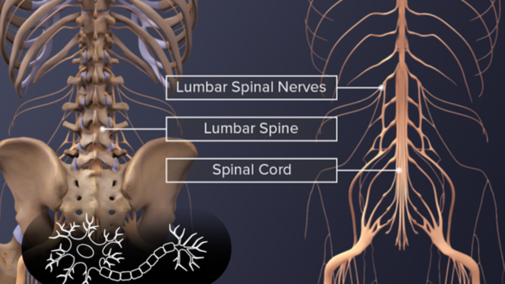 Spinal-Disorders